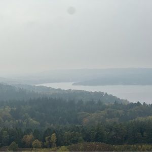 Meet your Posher, Akram